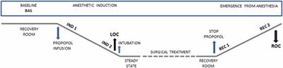 Analyzing the Loss and the Recovery of Consciousness: Functional Connectivity Patterns and Changes in Heart Rate Variability During Propofol-Induced Anesthesia